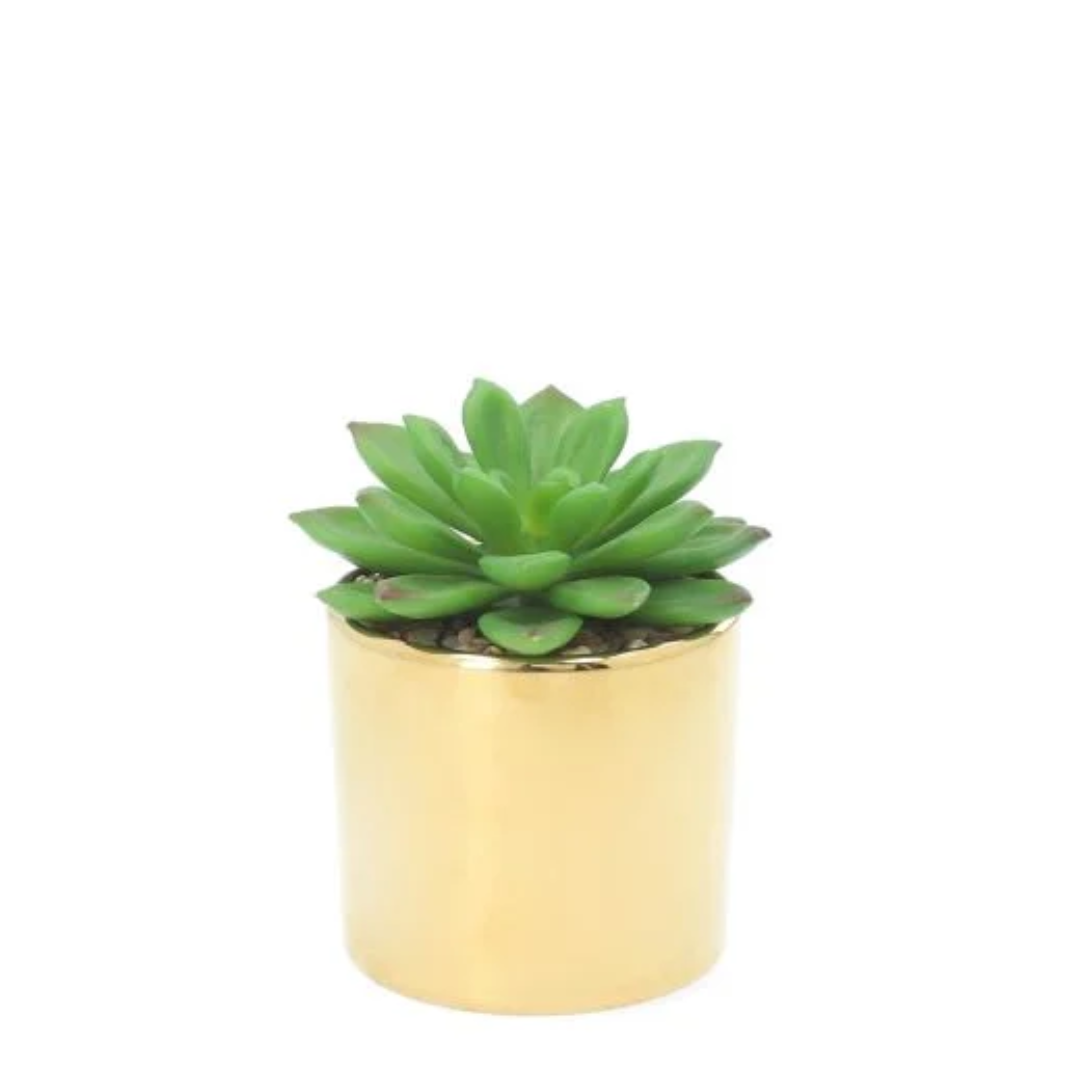 Small Fake Plant - Gold