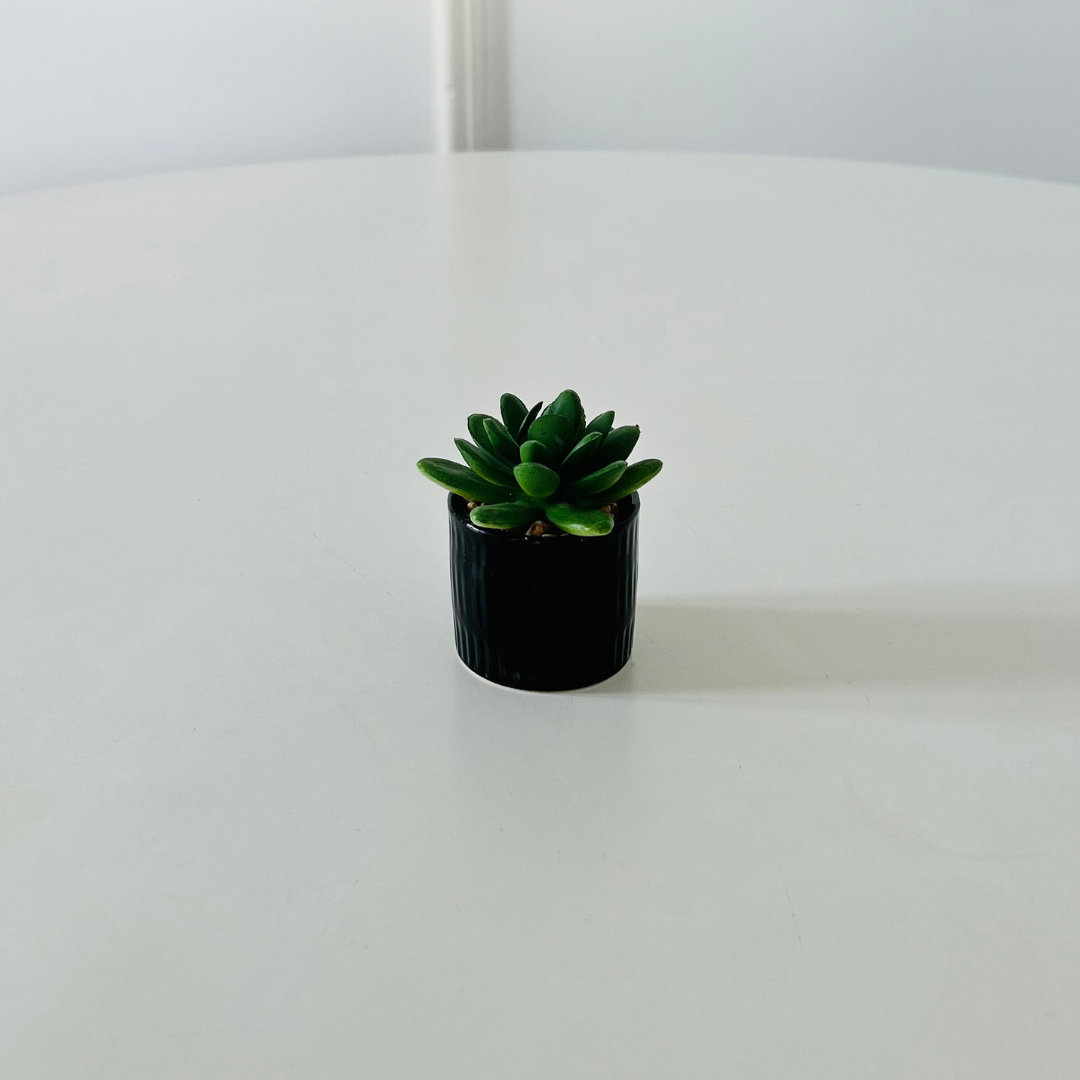 Tiny Fake Plant