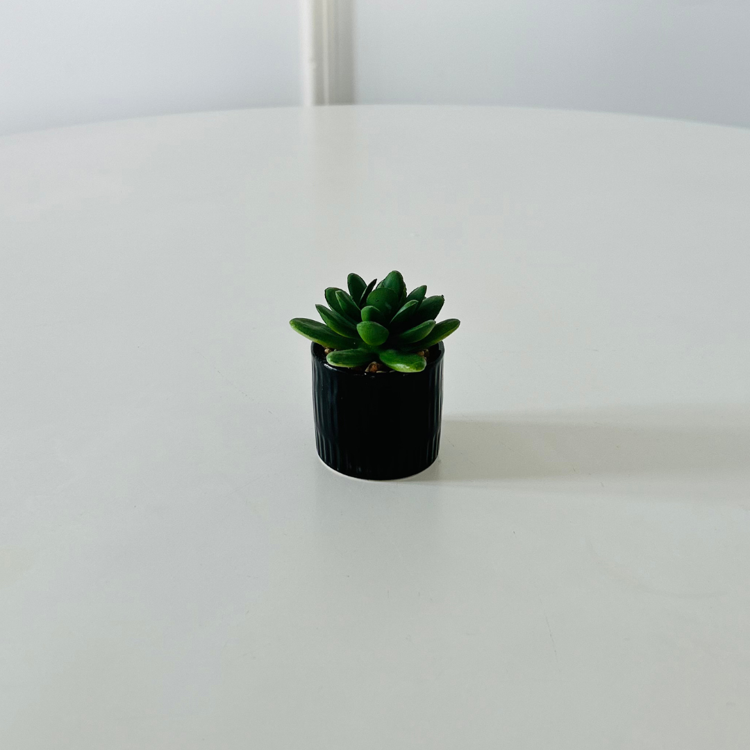 Tiny Fake Plant - Black